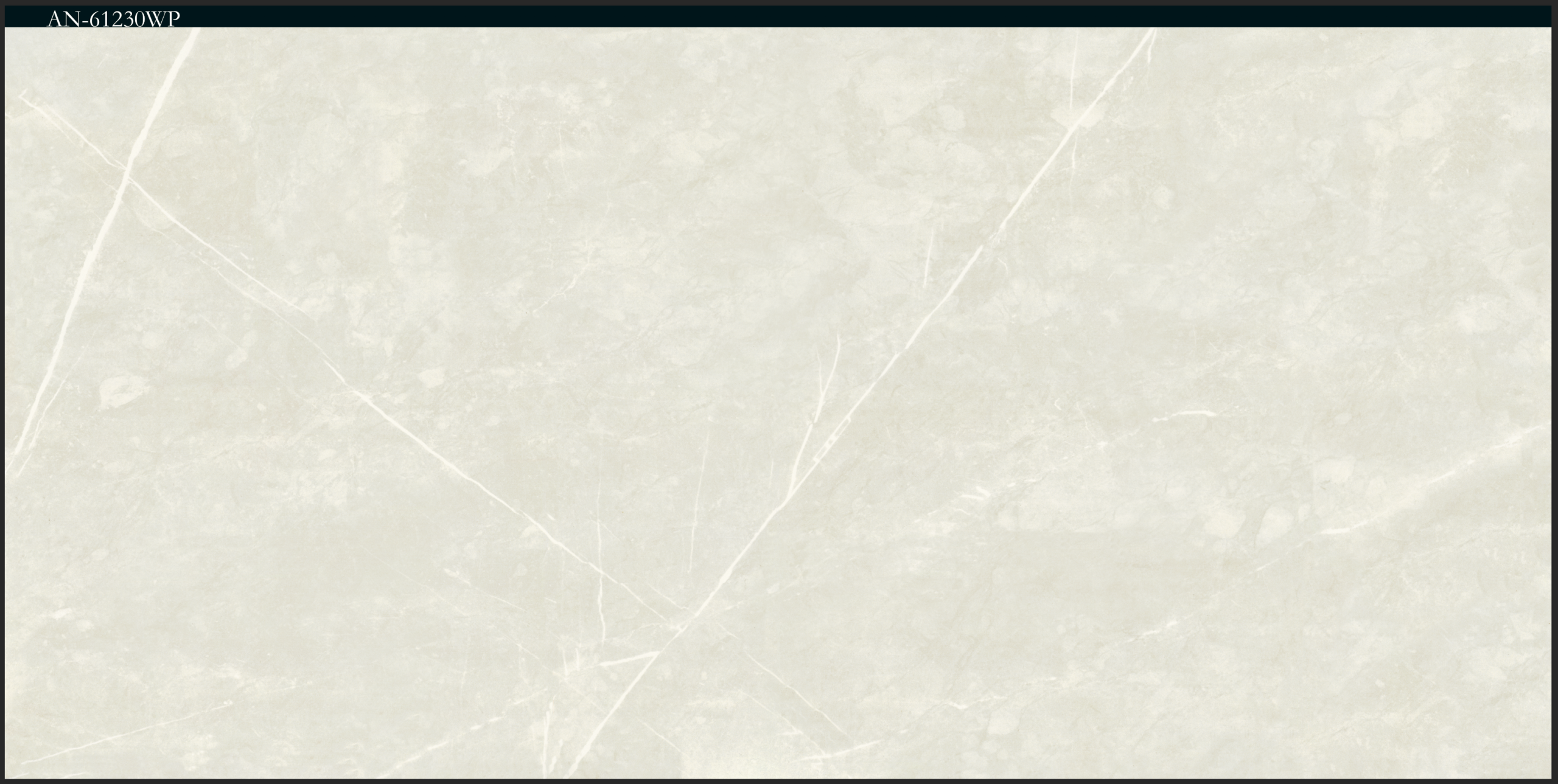 بلاط بورسلان لامع مصنع جمال 60×120